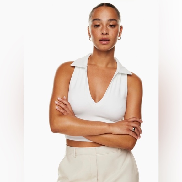 Babaton Aritzia Contour Polo Tank - Picture 1 of 6